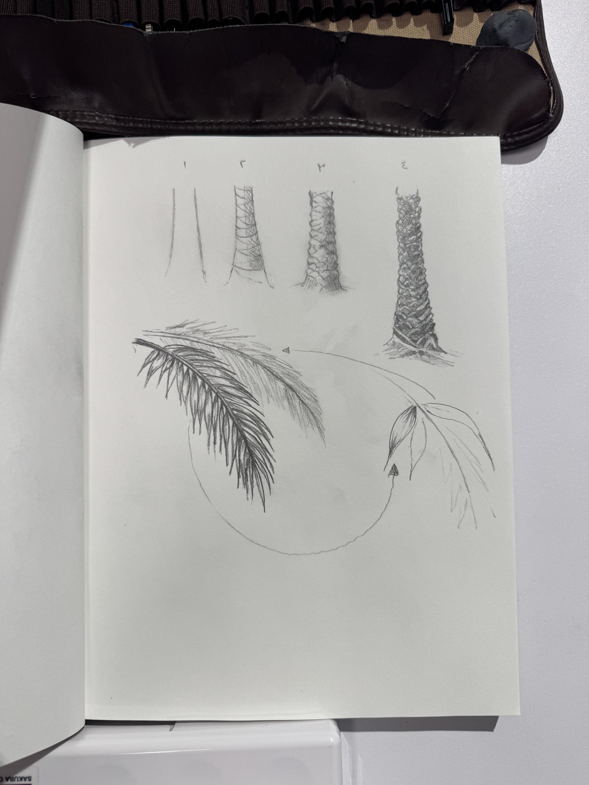 الاسكتشات 4
