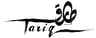 الفنان طارق السهلي